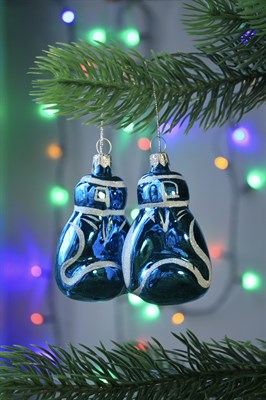 Боксерские перчатки 2716-0