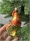 Петушок 3012